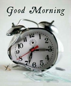 despertador segunda feira