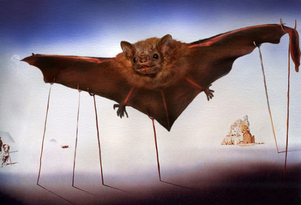 O Morcego, tela de Salvador Dali