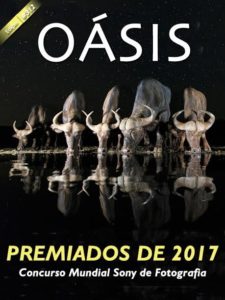 Revista Oásis 312